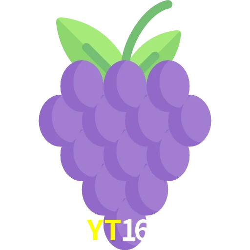 YT168
